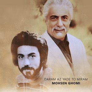 محسن قمی