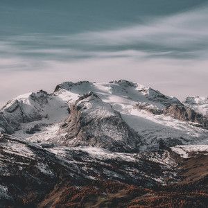 مرتضی نامی
