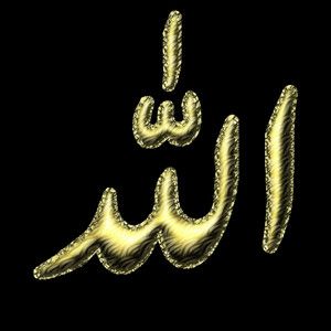 مصطفی کاووسی