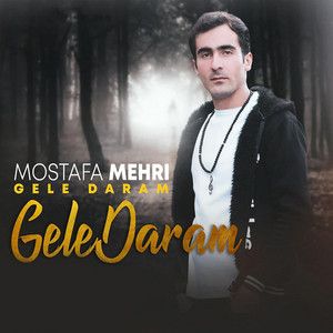 مصطفی مهری