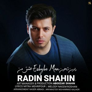رادین شاهین