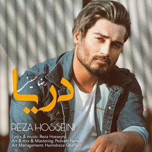 رضا حسینی
