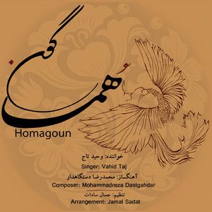 وحید تاج