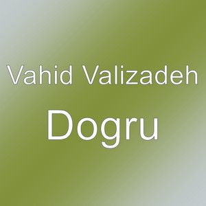وحید ولی زاده